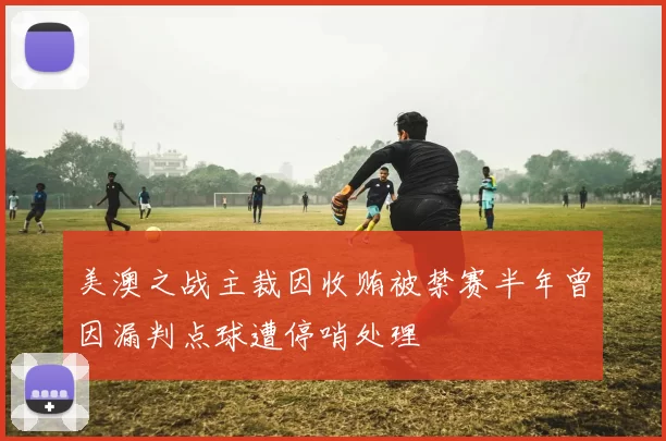 美澳之战主裁因收贿被禁赛半年曾因漏判点球遭停哨处理
