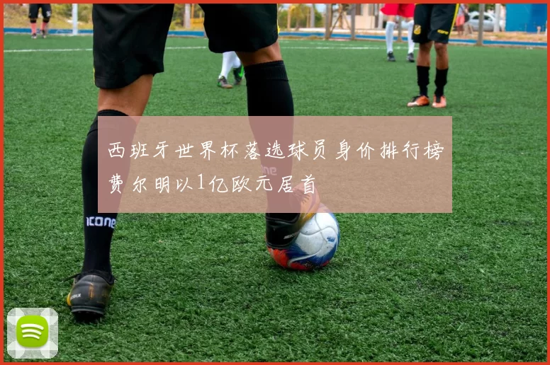 西班牙世界杯落选球员身价排行榜费尔明以1亿欧元居首