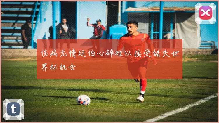 伤病无情廷伯心碎难以接受错失世界杯机会